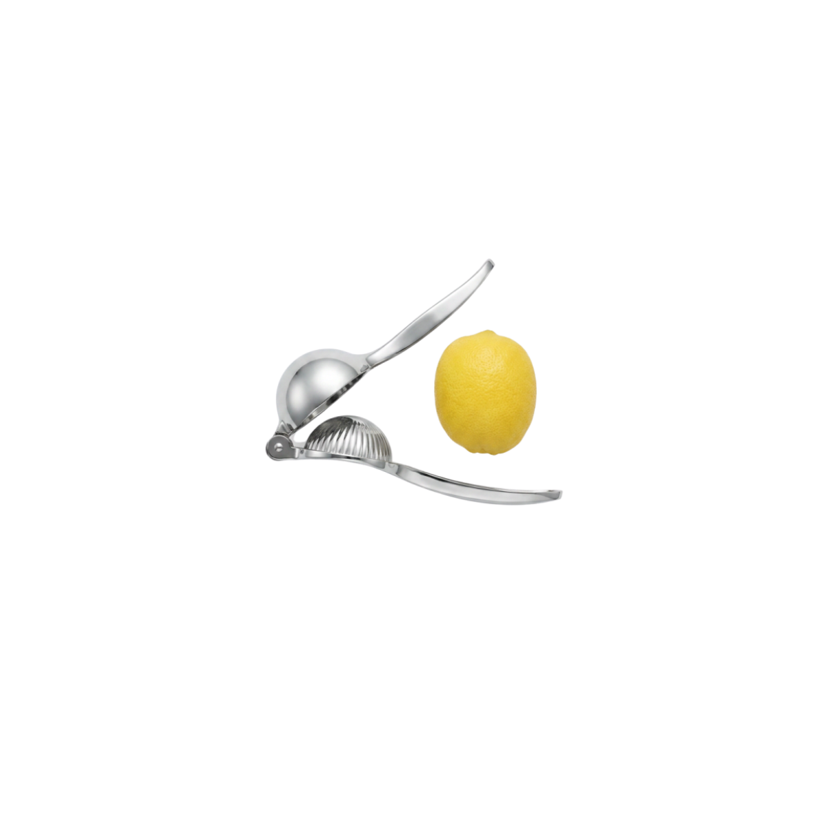 Lemon Squeezer